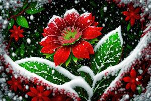 a red flower with green leaves and snow dark background by photo