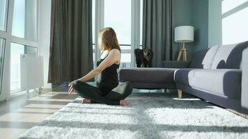jung kaukasisch Frau im schwarz Overall Sitzung im Lotus Position und meditieren, Yoga beim heim. schwarz Katze Spaziergänge um video
