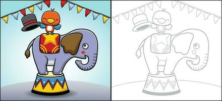 Vector cartoon of funny elephant with little bird in circus show. Coloring book or page