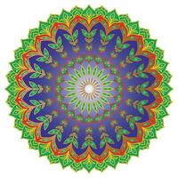 Colorful mandala pattern abstract floral ornament vector