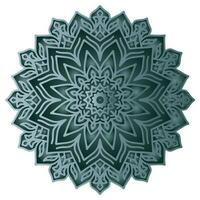 Green mandala pattern abstract floral ornament vector