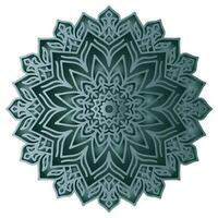 Green mandala pattern abstract floral ornament vector