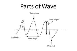 Waves of the basic properties. Vector illustration parts of a wave. Amplitude, wave length, crest, trough.