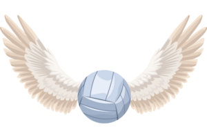 volleyball sport ball flying png