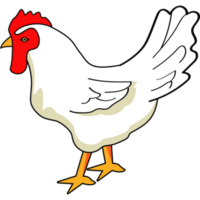 bird hen farm animal png