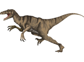 velociraptor dinosaurio prehistórico animales png