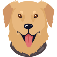 golden retriever dog mascot png