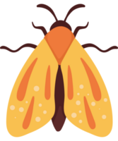 yellow moth insect animal png