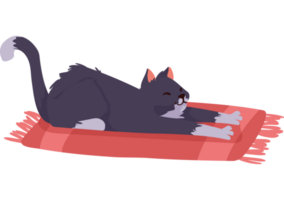 gato fofo no tapete png