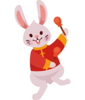 asian rabbit with drumsticks png