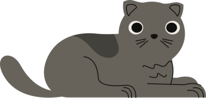 lindo gatito gris png