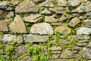 Planting plants in retaining walls. Gardening in a dry stone wall. photo