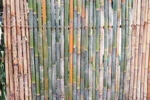 Bamboo fence background vintage color photo