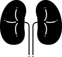 solid icon for kidneys vector