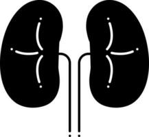 solid icon for kidneys vector