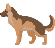 German shepherd dog mascot domestic png