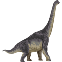 brochiosaurus dinosaure animal préhistorique png