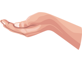 hand human receiving png