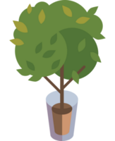 plantação de árvores ecológicas png