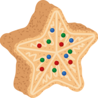 christmas cookie with star shape png