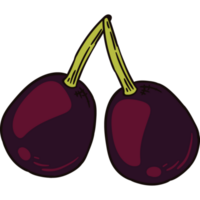 två vindruvor färsk frukt png