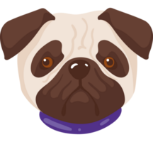 mascota del perro pug png