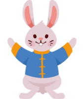 conejo asiático con traje azul png
