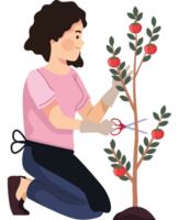 kvinna jordbrukare med tomat växt png