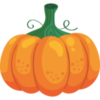 pumpkin vegetable autumn season png