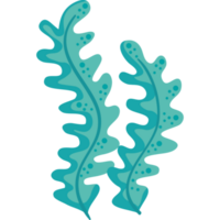 green seaweed plant png