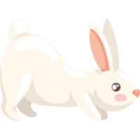 cute rabbit animal png