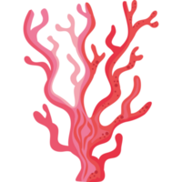 rosso alga marina pianta png