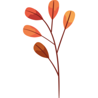 naranja rama follaje otoño temporada png