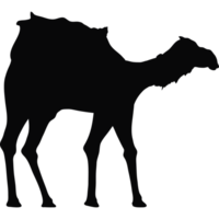 cammello animale nero silhouette png