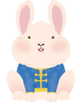 lapin chinois avec robe bleue png