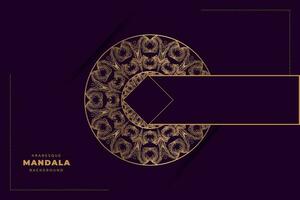 Luxury mandala Background design vector