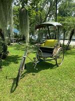 old vintage tricycle on a lawn no people.front view. photo