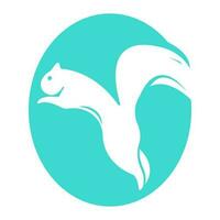 squirrel icon illustration vector