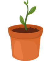 houseplant in pot png