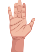 hand human stop png