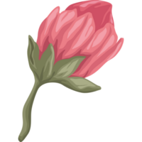 rode rozen bloementuin png