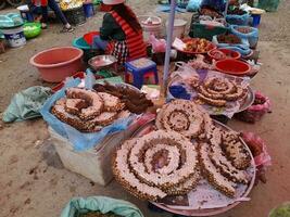 Bee hives for sale at local market in Laos. Honeycomb from nature. photo