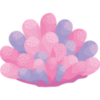 pink and lilac coral reef png