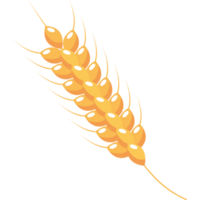 gouden gerst spike png