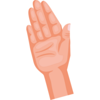 hand mänskligt stopp png