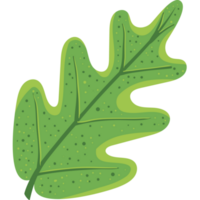 leaf plant foliage png