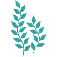 vert branches algue png