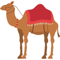 transporte deserto de camelo png