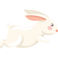 mignon, lapin, courant, animal png