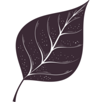 folhagem de planta de folha roxa png